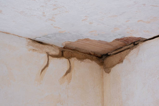Best Basement water damage restoration  in Umatilla, OR