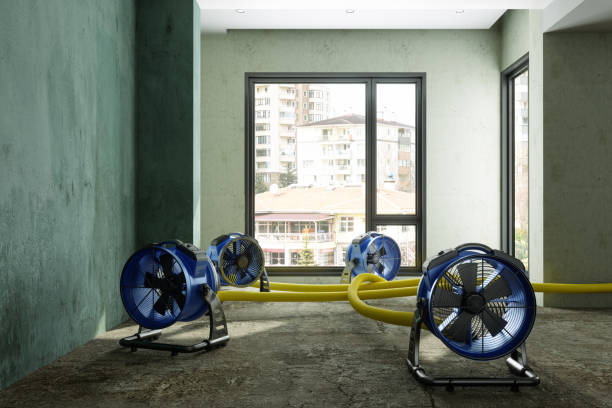 Trusted OR Water damage restoration Experts